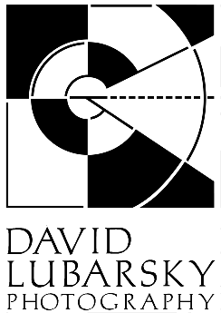 David Lubarsky Photography logo
